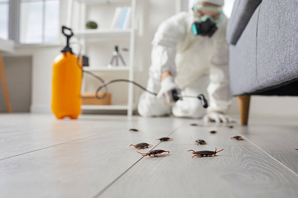 Commercial Kitchen Cockroach Control in Chinle